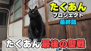 最終話「柿の木を切って黒いたくあん食べる」