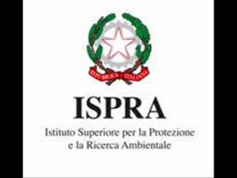 RDS RDS NEWS 17.40 Tirreno, biodiversità