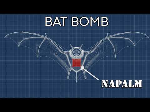 How Bat Bombs Almost Won WWII