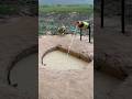 Innovative Bird Trap Youtube