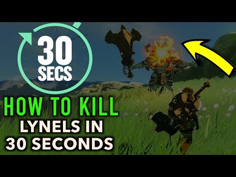 How to Beat a Lynel in 30 Seconds or Less in Zelda Breath of The Wild