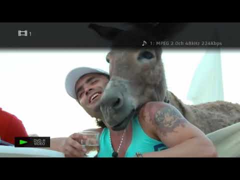 SERVITI, VA ROG, EPISODUL 12-  MAGARUL SI NOI!