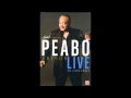 Peabo Bryson Love in Every Season I Believe in You