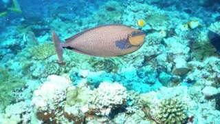 Sometime Ago （Solo Piano）