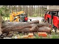 I Ve Been Waiting Years To Saw This Log