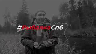 Рыбалка на реке красная спб