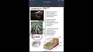 Carbonation, chemical weathering.
