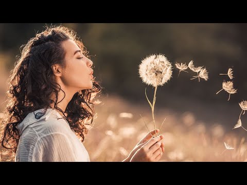 A Summer Breeze - Ten Towers | Pop Music