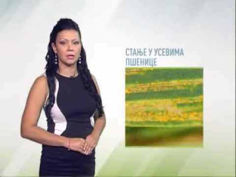 Zelena prognoza 19.9.2014. Pregled ovogodišnje sezone zaštite bilja