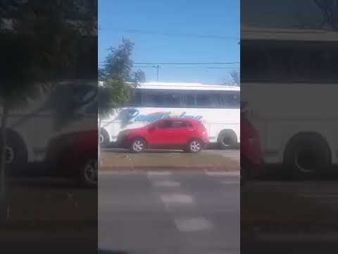 lo nuevecito de Panaholma coche 81 Mercedes Benz Marcopolo G8 línea Córdoba