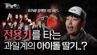 BTS와 블랙핑크를 이은 과일계의 아이돌?!｜한태웅의 푸드트럭