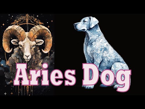Aries Dog - Dynamic Duo of Passion a