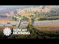 How wildlife crossings protect both animals and people