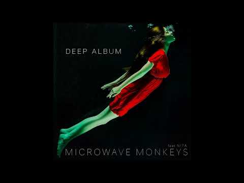 Microwave Monkeys Feat. Nita - Twist In My Sobriety (Extended Mix)