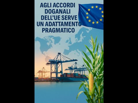 Agli accordi doganali dell’Ue serve un adattamento pragmatico