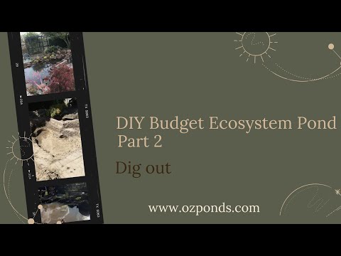 Diy Budget ecosystem pond part 2- The digout