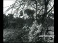 SWAPNA JHARE PHOOL SE RAFI NEERAJ ROSHAN NAYI UMAR KI NAYI FASAL 1966