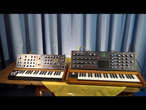 Seite an Seite: Behringer Poly D und Minimoog Voyager