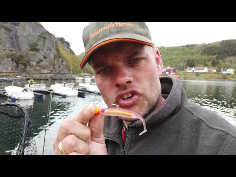 Angelfestival Farsund Resort 2019