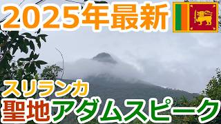 冬休みはスリランカへ!聖地アダムスピークの登り方【スリランカ観光】