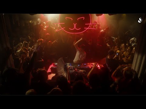 Le Chat Rouge at Slalom (Lille) DZP b3b Mandragora b3b Jacob