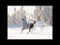 Ermitage - Russians - (album Russian Memories ...