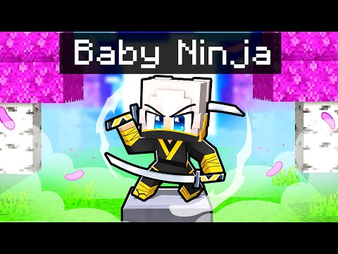 ZEYXON È DIVENTATO un BABY NINJA in Minecraft!