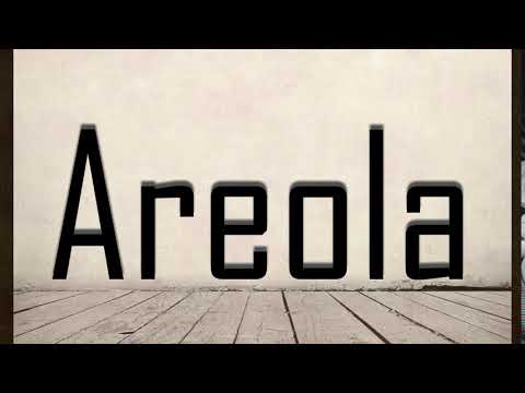How to Pronounce Areola