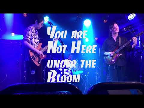 download lagu mp3 mp4 Liveholic, download lagu Liveholic gratis, unduh video klip Download Liveholic Mp3 dan Mp4 Music Online Gratis