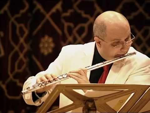 @ionbogdanstefanescu  Wil Offermans - Harmonics