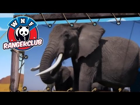 Ga je mee? Met de WNF-Rangerclub!