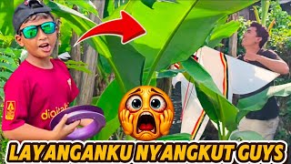 Download lagu MY BEBEAN KITE TRAGEDY GOT STUCK IN A TREE DURING A TEST FLY‼️ #kites #tragedy #stuck #vlog mp3