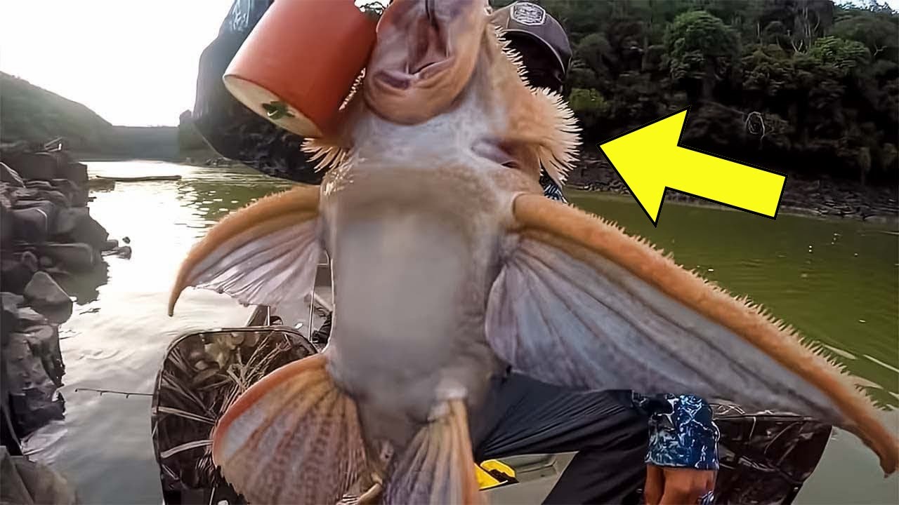 Fisherman Caught Weird Creature. He Calls For Help When He Discovers What It Really Is