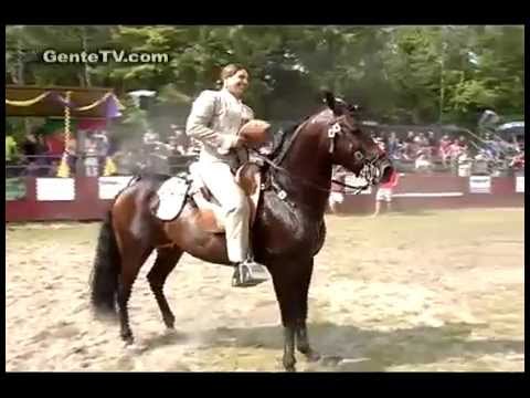 Festa Brava de GenteTV no Domingo - Aug30 - #3