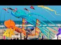Washington Kite Festival In WA 4K Ultra HD Relaxation Video With Waves Sounds