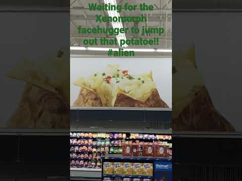 Alien xenomorph facehugger egg