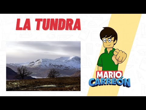 La Tundra 🐧