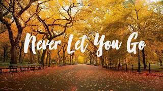 Kygo - Never Let You Go ft. John Newman ( lyrics )