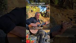 #götzwidmann - DU (Teil I) #live | #neuersong #du #liedermacher #tour  #musik