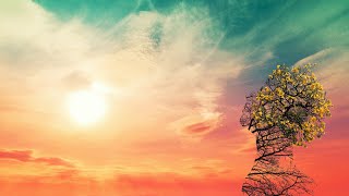 徒夢の中で 神はサイコロを振らない ギターコード ウクレレコード ピアノコード U フレット