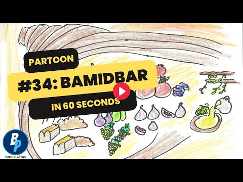 Partoon #34 Bamidbar