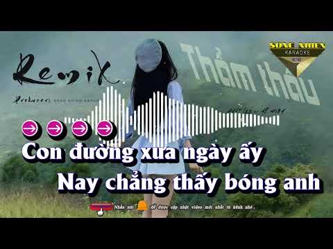 Thẩm Thấu Karaoke Remix Tone Nữ ( Phát Le & Hồ Định )