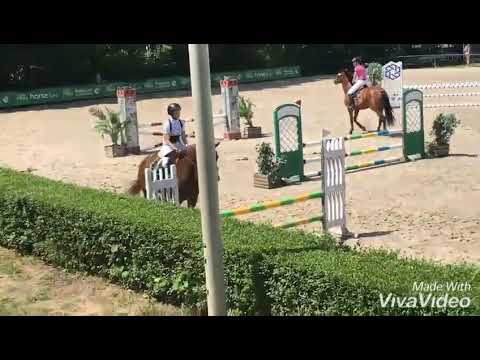 Zawody WLKS Krakus Swoszowice 07-09.06.2019 | Danton - 90/95cm |