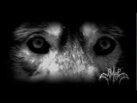 Blutklinge - Night I