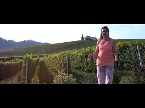 Tenuta Carretta & Ivana Miroglio - Wine windows