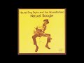 Hound Dog Taylor-  See me in the evening