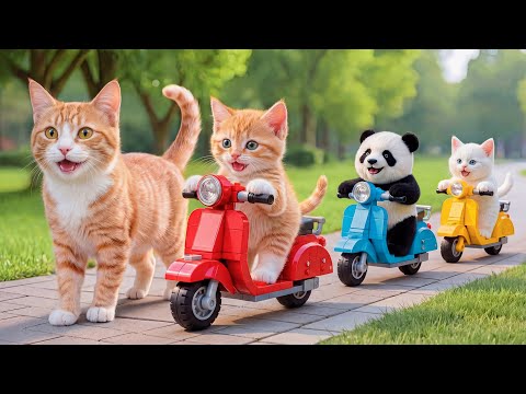 Mama Cat and Kitten Sell Fried Chicken to Buy a New Bike for Kitten 🍗🚲🐱