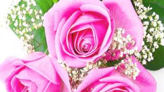 Amor sin Palabras Los Caminantes