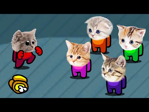 Among Us But It's Impostor Cats (Distraction Dance Animation)