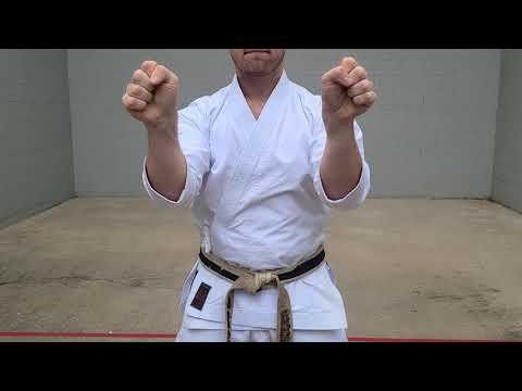 Karate Moves | KAKI WAKE UKE - WEDGE BLOCK